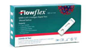 Auto Teste Saliva Flowflex